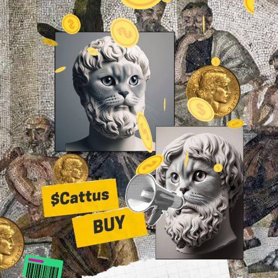 SoSurrealDAO's tweet photo. #CAT LOVERS WE GOT A #MEOW NEW CAT 🐱 in $Solana town 

I did grab a bag of this @Heracattus $CATTUS 

29K MC

8jYMUxZ2qGASsZ76cZ1J6uFUzRci6tz7RFcgbz96xFc3 https://t.co/3x76xkqe8L