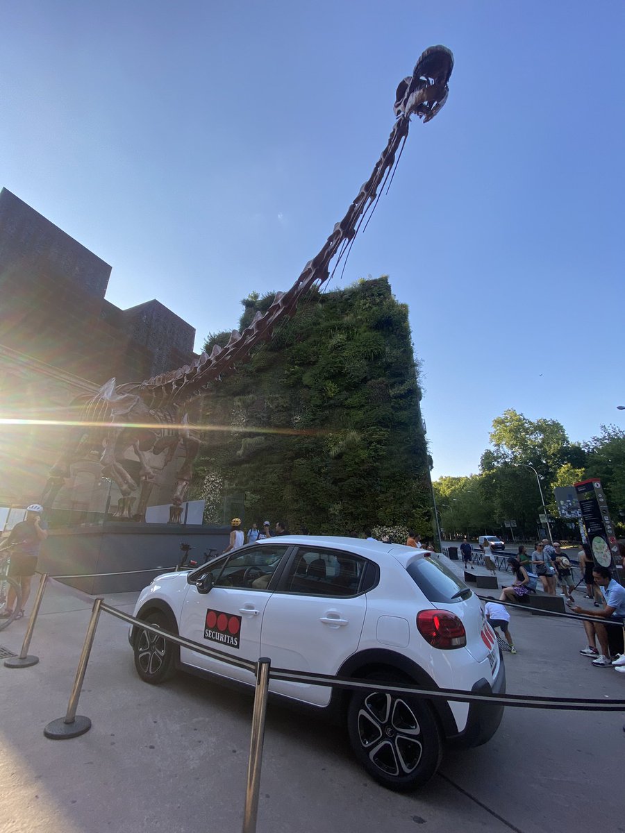 elencita_'s tweet photo. Hace mucho calor, esa debe ser la razón por la que el pobre vigilante de @SDresponde se refugia en su coche mientras vigila el dinosaurio de @CaixaForum pero claro, ahí aparcado en zona peatonal, con el motor encendido y echando humo a todos los niños. ¿No hay mejor opción? https://t.co/Il6hggBoKr