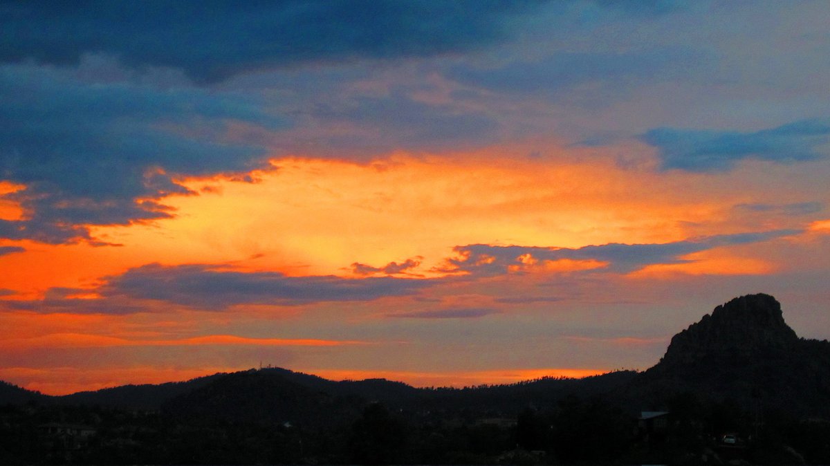 WX Photography tweet media
