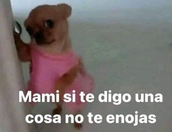 asi empiezan las coasa que mas enojan