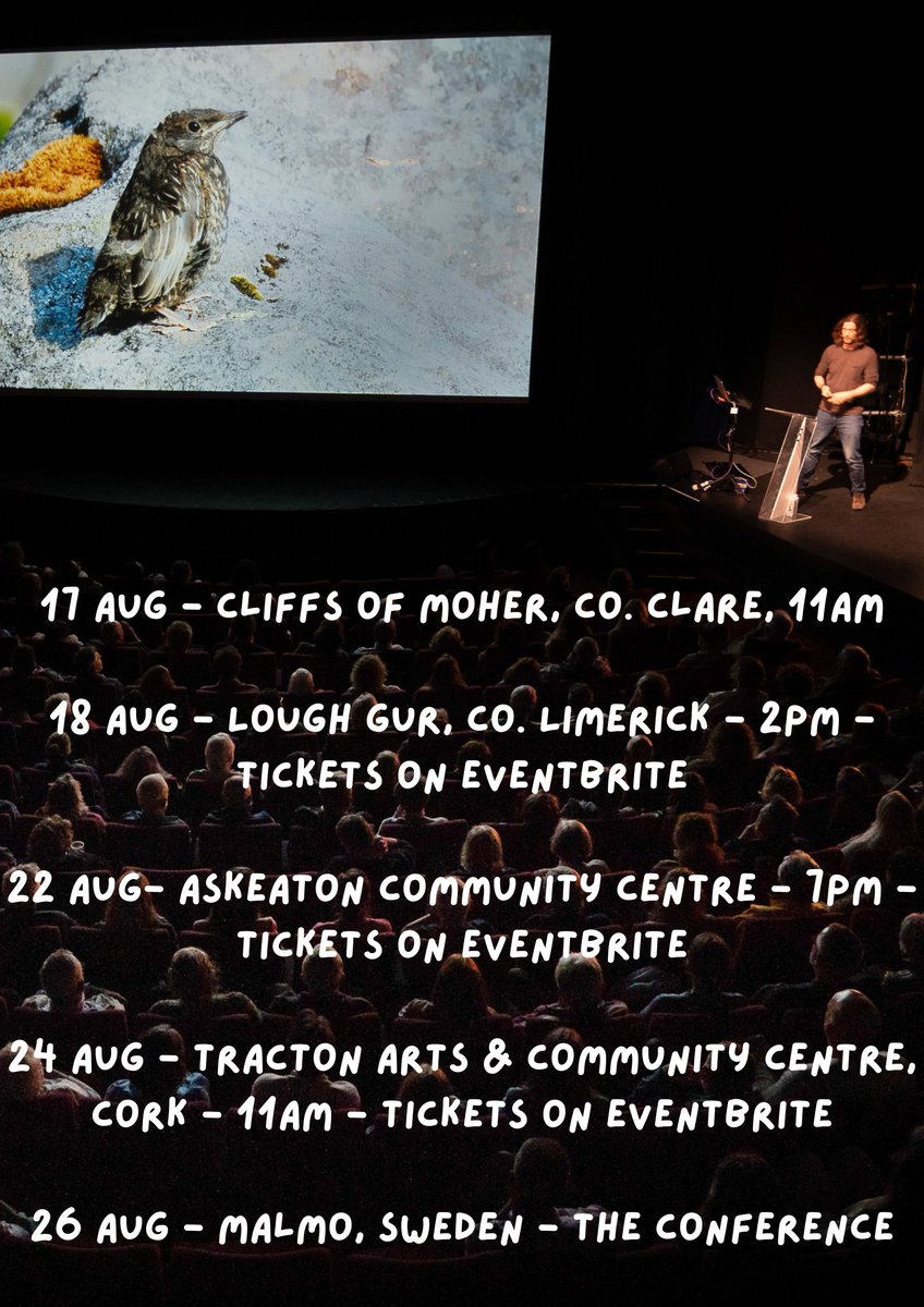Upcoming talks - August

Lots on! I don't have the ticket details for the Cliffs of Moher yet, but when I do, I'll share!

This poster will be pinned over on my Instagram account, handle: irishwildlifesounds

📸 Roxy Media