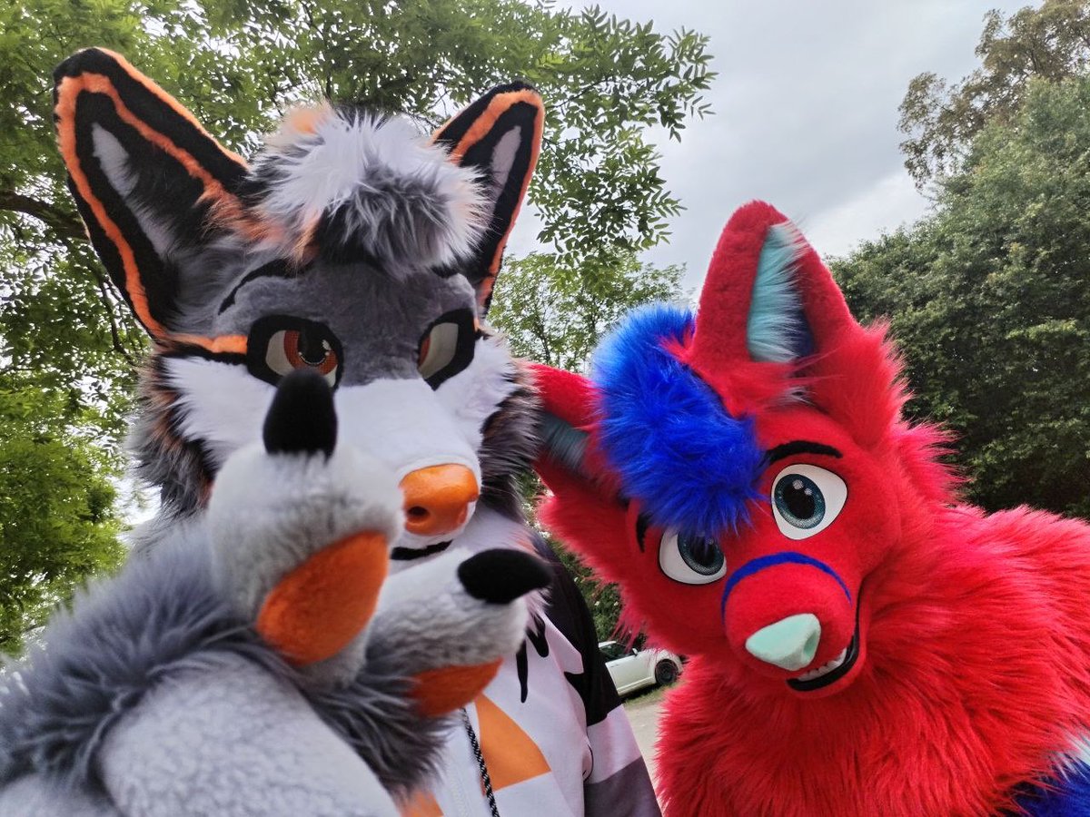 GeotheWolf🖤🧡🐺🇩🇪🇦🇹 tweet media