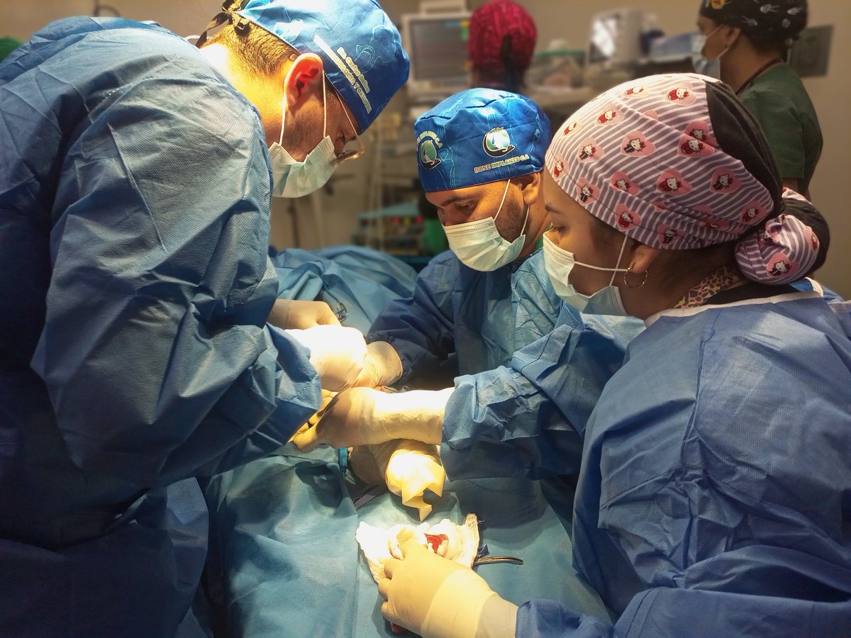 #9Ago| 👨🏻‍⚕️🏥 Las intervenciones quirúrgicas de alta complejidad de las especialidades de cirugía de mano 🖐🏼y traumatología son posibles gracias a las políticas sociales en materia de salud implementadas por nuestro gobierno bolivariano.
<a href="/NicolasMaduro/">Nicolás Maduro</a> 
<a href="/MagaGutierrezV/">Magaly Gutiérrez Viña</a>