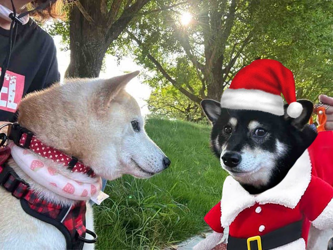 The best gift you can give is friendship #KAGURA #NEIRO #FRENS