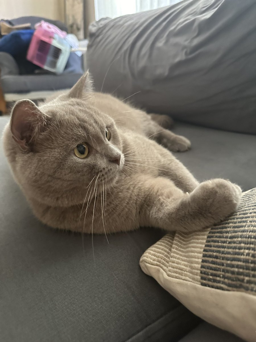 Ballı lokum. Yanak reis. Öz evladım. Fıstıklı çitos.