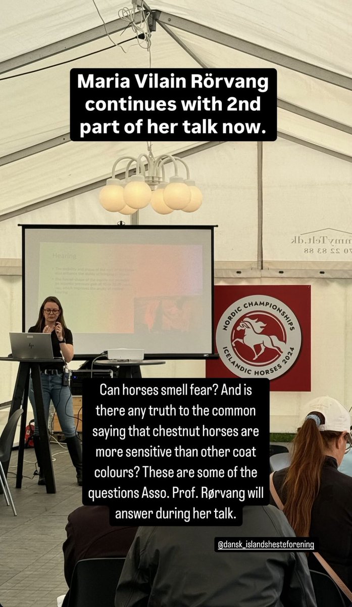 MariaRorvang's tweet photo. Had the chance to talk about the sensory abilities of horses today at the Nordic Championships of Icelandic horse riding 2024 🇩🇰🇳🇴🇮🇸🇸🇪🇫🇮🇫🇴
Thanks for the invitation and for the many good questions!
#icelandichorse #nm2024 #sensoryabilities #equitationscience https://t.co/2eNyfVEx95