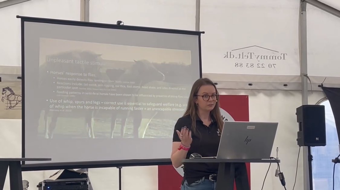 MariaRorvang's tweet photo. Had the chance to talk about the sensory abilities of horses today at the Nordic Championships of Icelandic horse riding 2024 🇩🇰🇳🇴🇮🇸🇸🇪🇫🇮🇫🇴
Thanks for the invitation and for the many good questions!
#icelandichorse #nm2024 #sensoryabilities #equitationscience https://t.co/2eNyfVEx95