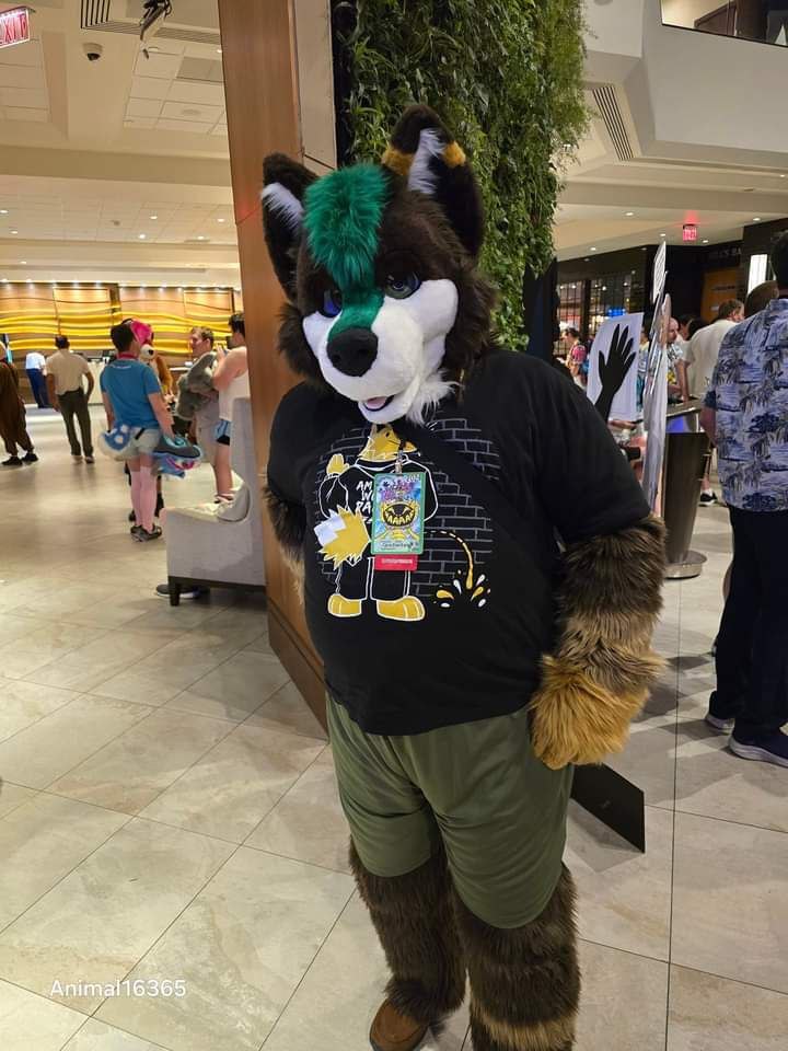 Happy #fursuitfriday