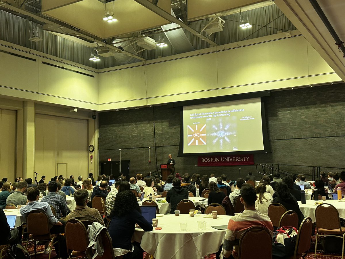 GizemGumuskaya's tweet image. It was great speaking at the 11th #InternationalMammalianSyntheticBiologyWorkshop and introducing my PhD research #anthrobots in @drmichaellevin lab to the community. Massive thanks to lead organizers @johntngo, @GallowayLabMIT, my session chair @LeonardoMorsut &all participants!