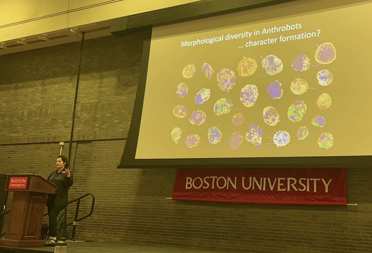 GizemGumuskaya's tweet image. It was great speaking at the 11th #InternationalMammalianSyntheticBiologyWorkshop and introducing my PhD research #anthrobots in @drmichaellevin lab to the community. Massive thanks to lead organizers @johntngo, @GallowayLabMIT, my session chair @LeonardoMorsut &all participants!