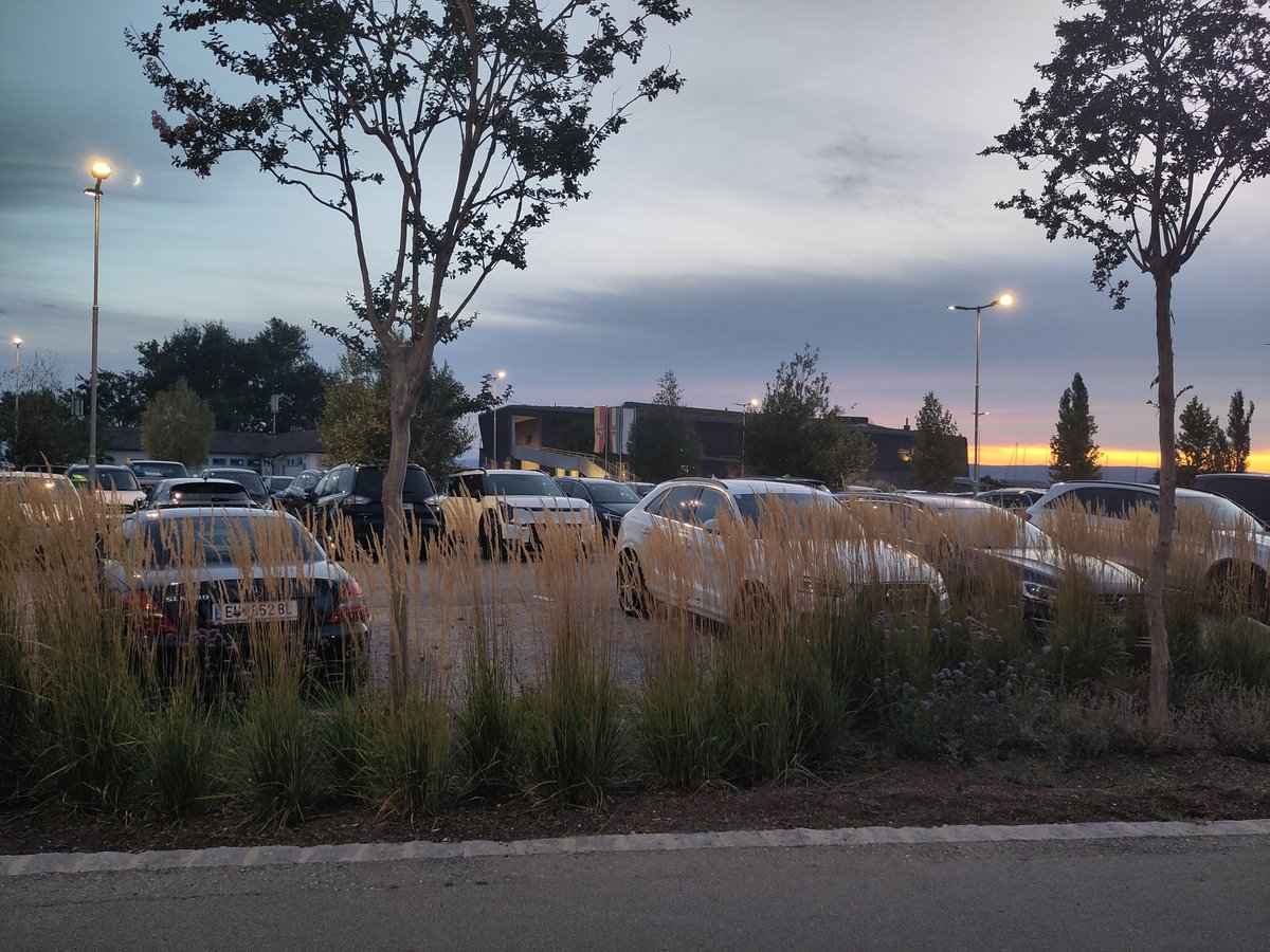 Weiden am See, wo es am Ufer mehr Platz für Autos als für Menschen gibt #Burgenland #zuganswasser