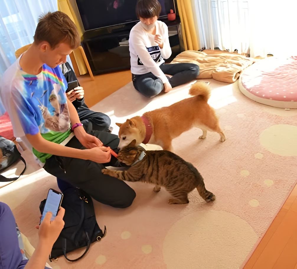 $GINNAN 

$GINNAN is super close to Vitalik , Just like $DOGE. There are several images of Vitalik playing with $GINNAN. WE sent 1.4% supply yo Vitalik for his love of $GINNAN. This is the reason why Ginnan dserves to be on ETH and be the Cat of the seazon.