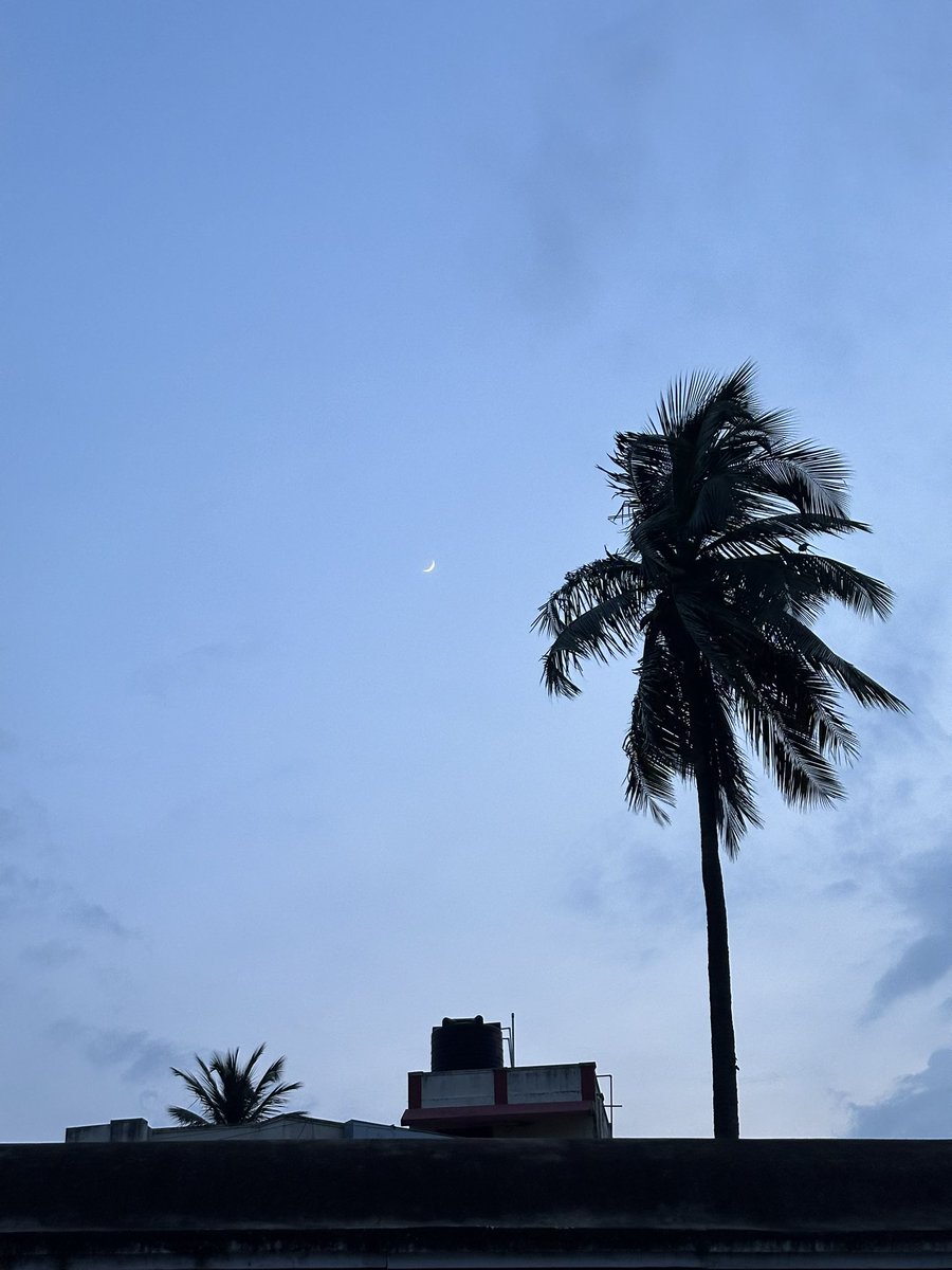 duvvuri_md's tweet photo. Beautiful India! Great to be back home and visit the Andhra coast. I cant believe the architecture from AD700s…
This is Bheemli beach &amp; Srikurmam temple with a beautiful tortoise garden.
#india #thisismyindia https://t.co/Bqm9nZMYOD