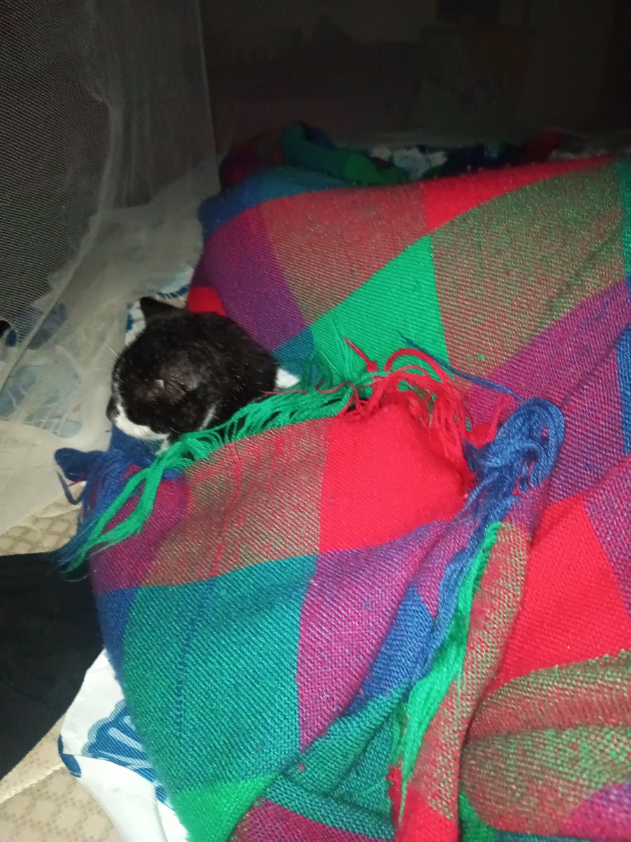 David López (@lopdavicito) on Twitter photo 