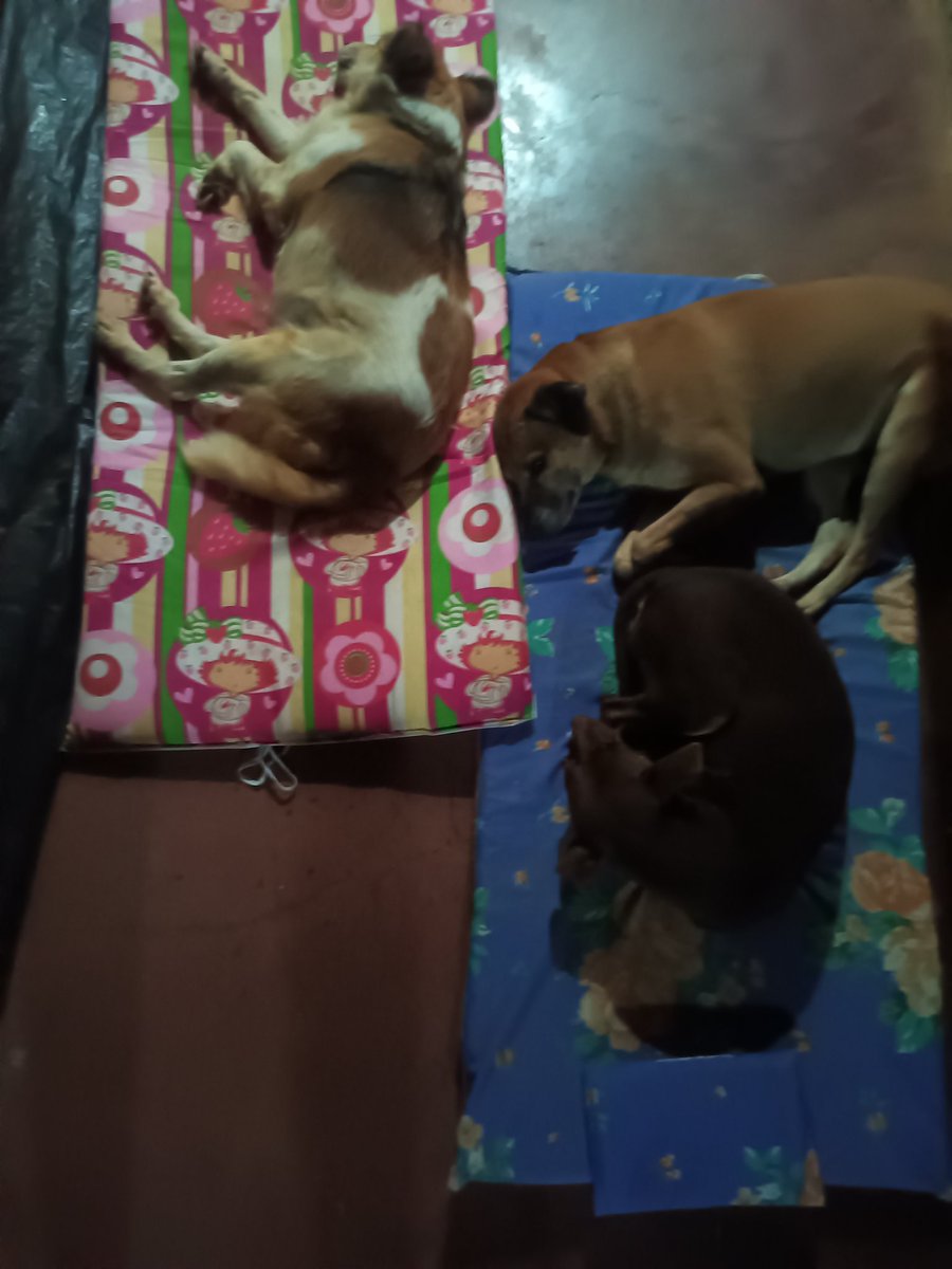 David López (@lopdavicito) on Twitter photo 