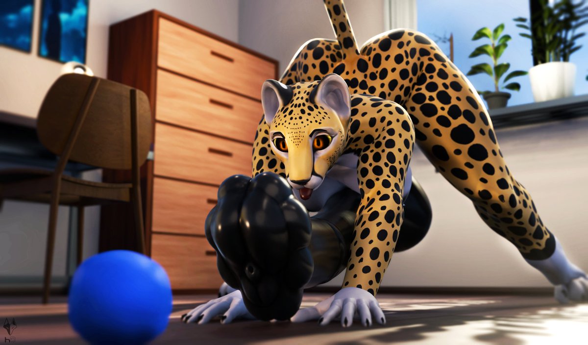 cat behavior

Kira belongs to: <a href="/Chee_bits/">Chee_bits</a>