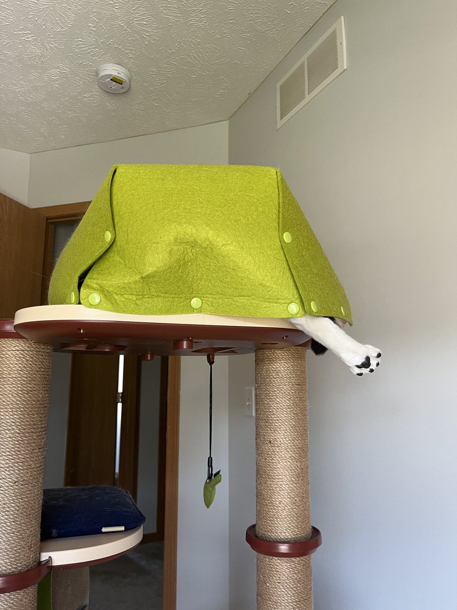 no yeah that’s totally how you’re supposed to use that