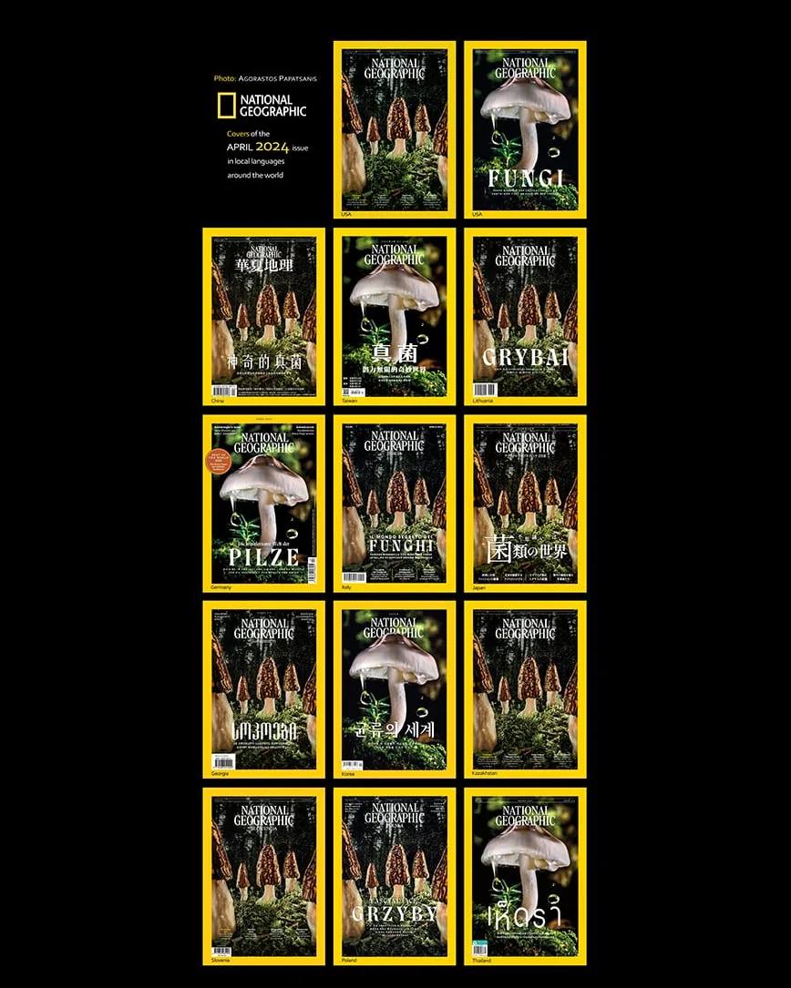 For the past few years, I’ve lived the thrill of a lifetime working with the team at @natgeo. Last week brought more deep cuts. This time I was on the list. Time to take a breath and figure out what’s next, but first I want to celebrate the amazing work I’ve gotten to do here: 🧵