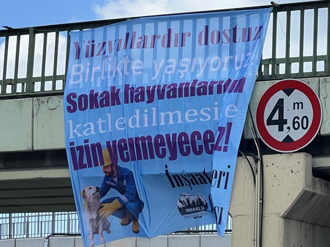 RuhatMengi2's tweet photo. Helal olsun size İnşaat işçileri!! Bu ülkenin balını kaymağını yiyenler kendi keyiflerinden başka şey düşünmezken, umursamazken siz insanlığınızı gösterdiniz. Allah hep yardımcınız olsun, sizi korusun!
@insaatsendika

Kartal köprüsüne pankart asmış inşaat işçileri sendikası https://t.co/K6WYzvVayH