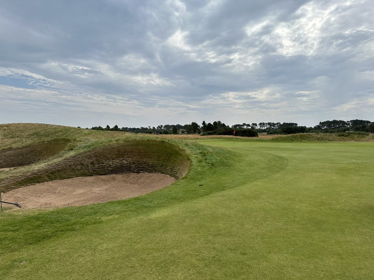 arhshepherd's tweet photo. August 2024 @carnoustiegolf - amazing course played one week following The Senior Open https://t.co/65yIb0syjI