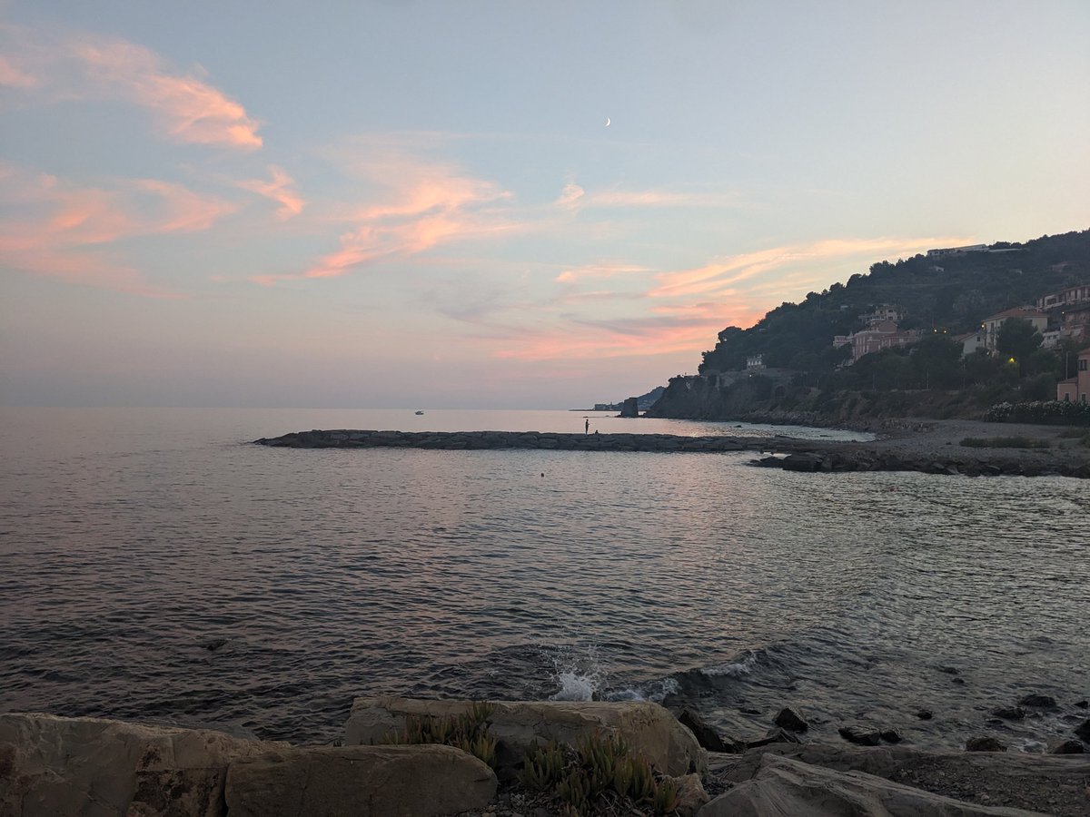 Nikki Rees tweet media