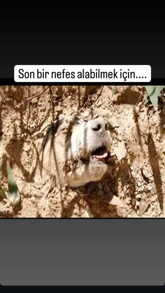 ………… #Türkiyedekatliamvar