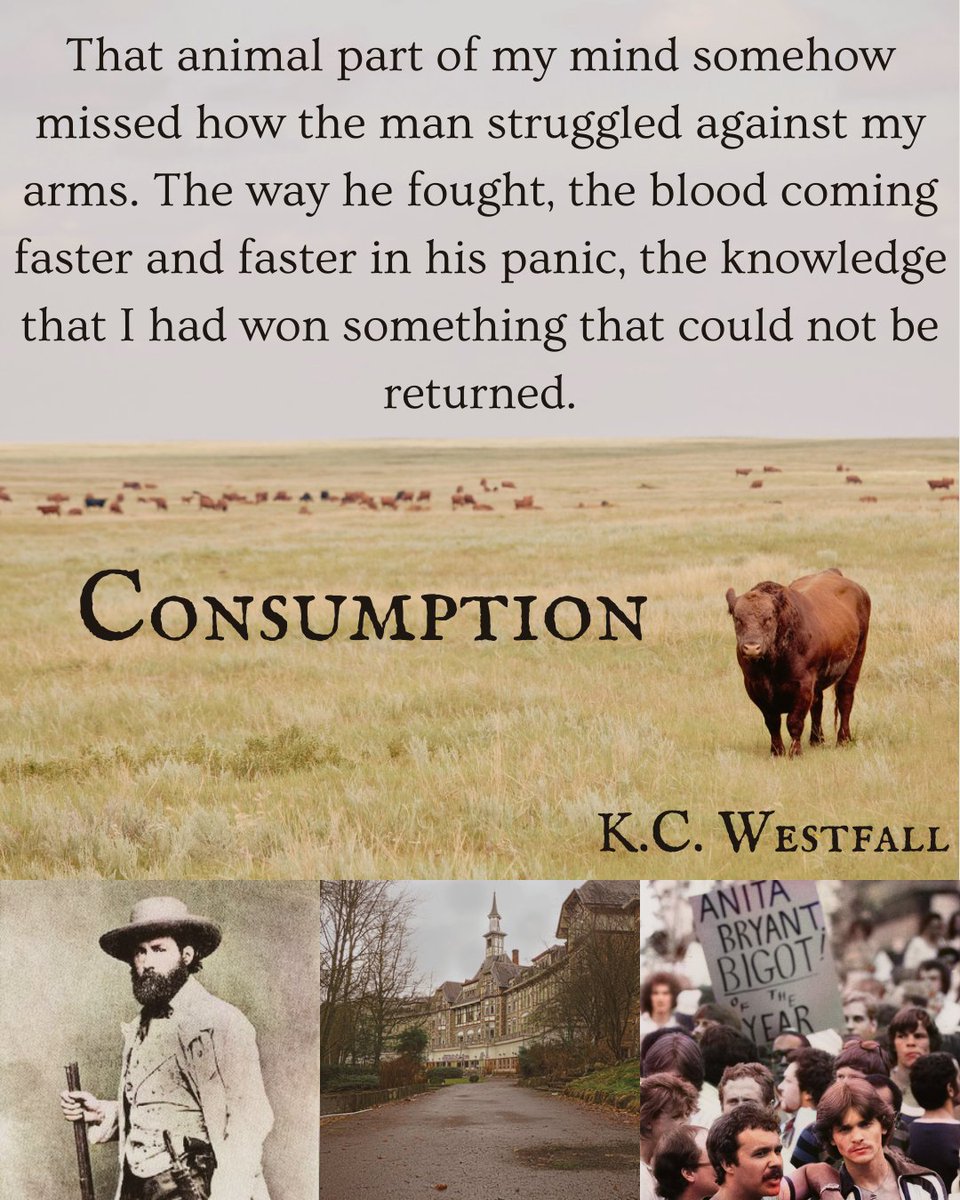 RDR2 x MIDNIGHT MASS

🩸Psychological/Isolationist Horror
🩸Explorations of Disease and Disability
🩸Gay Cowboys
🩸Spans ~1850 - 1990 America
🩸What Does It Mean To Be Mortal?

#PitLight