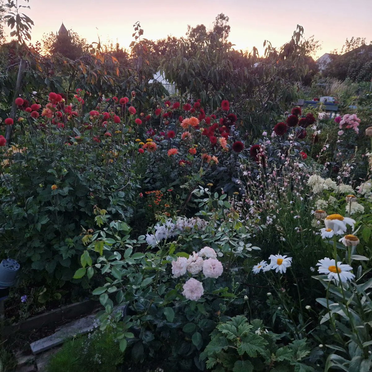 Richard Dee tweet media