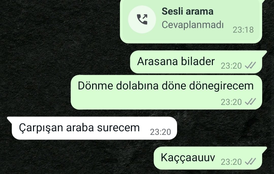 Ev arkadaşım lunaparka gitmiş!!