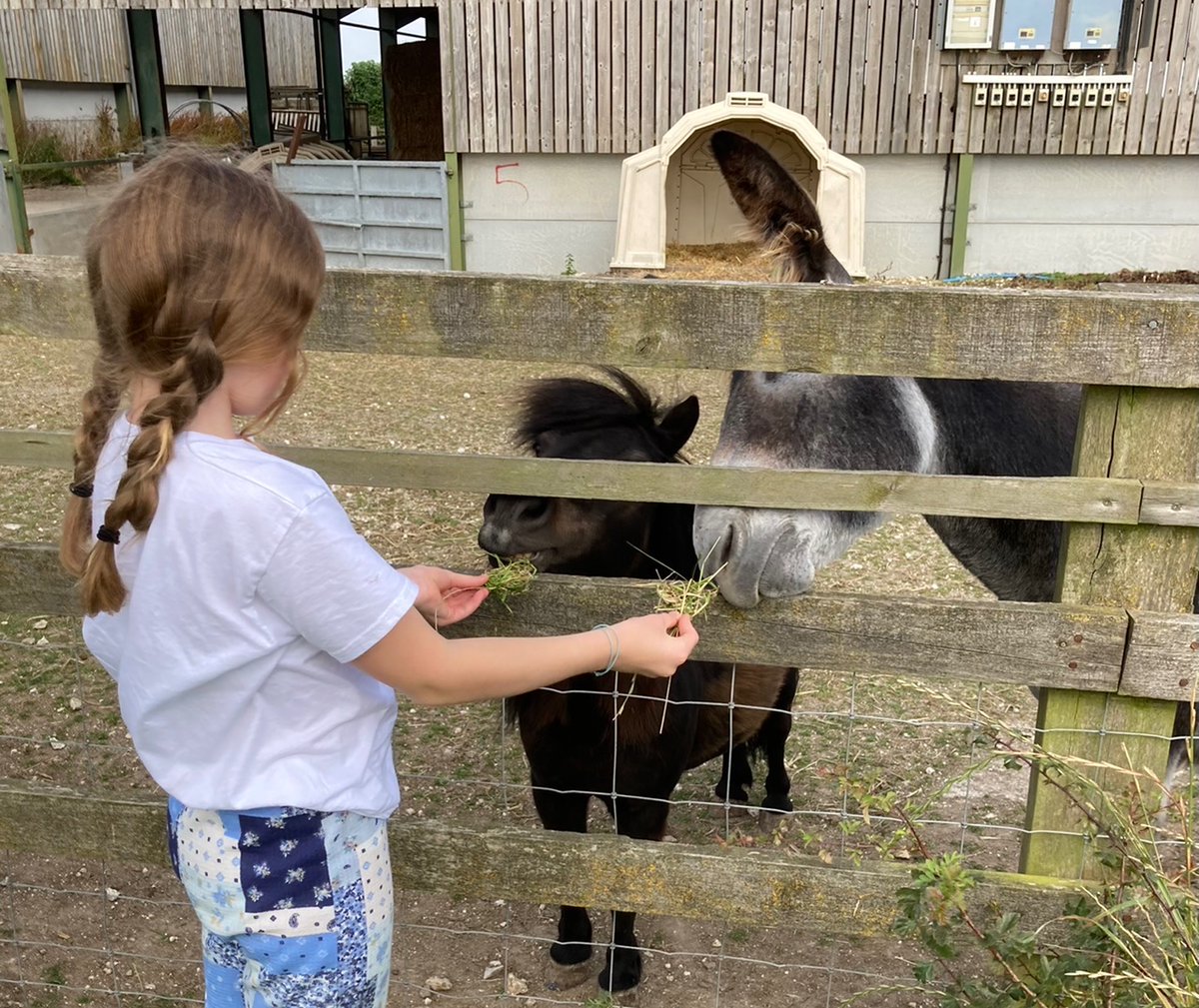 CyclicQuads tweet media