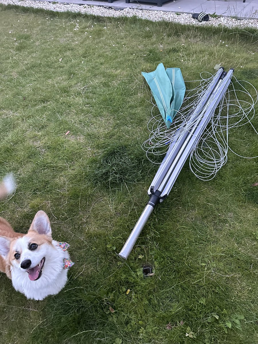 MakeErinOver 🌻 tweet media