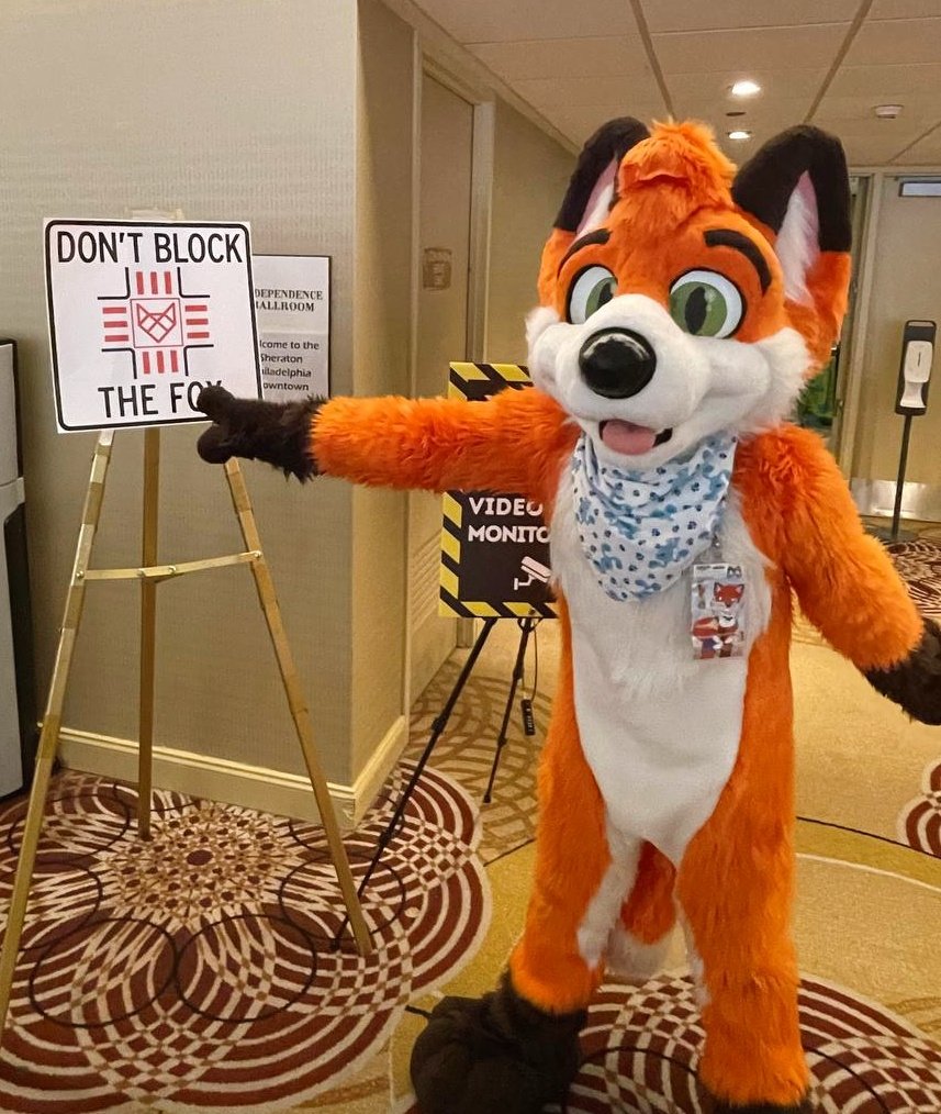 Don't Block The Fox! 📸 <a href="/thatbabybobcat/">Silver</a> #FD24 #furrydelphia