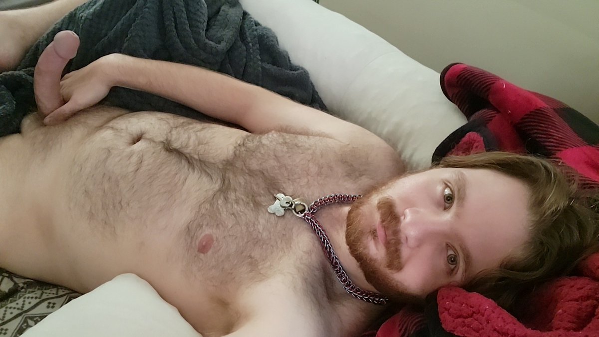 Infa_ursa's tweet photo. Afternoon.... I'm horny... That's all.
ʕ • ꈊ- ʔ https://t.co/L2SAwKmDN7