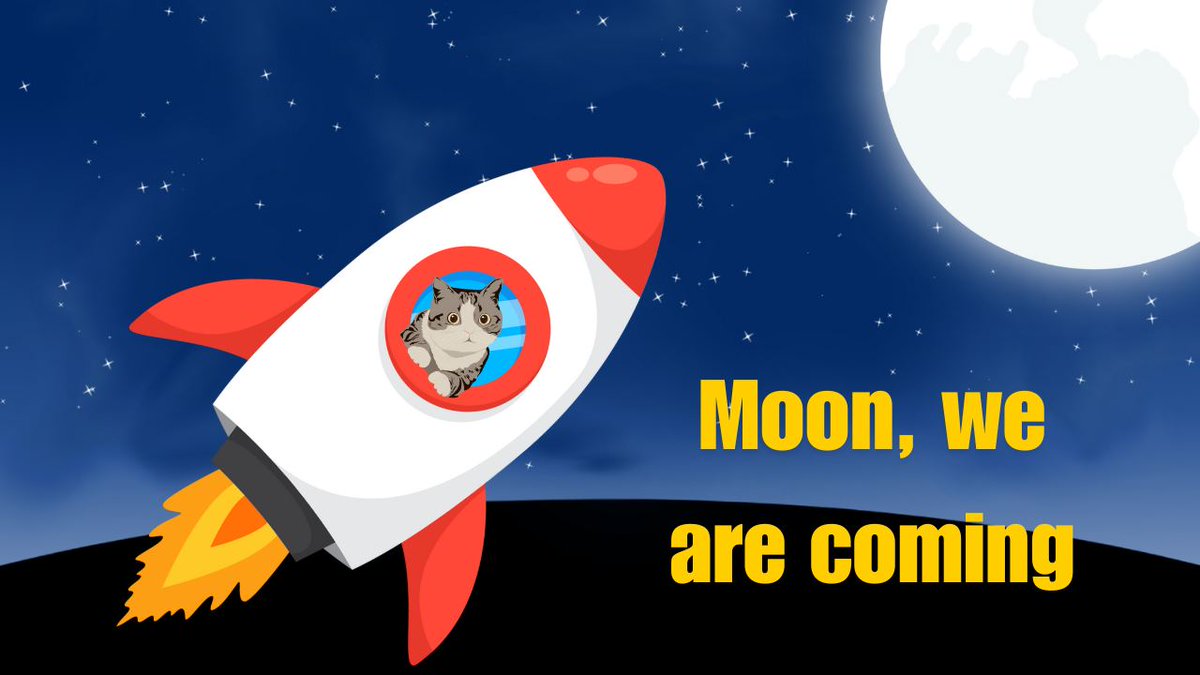 $GINNAN 

To the moon 🌕 
.
<a href="/kabosumama/">かぼすママ</a>