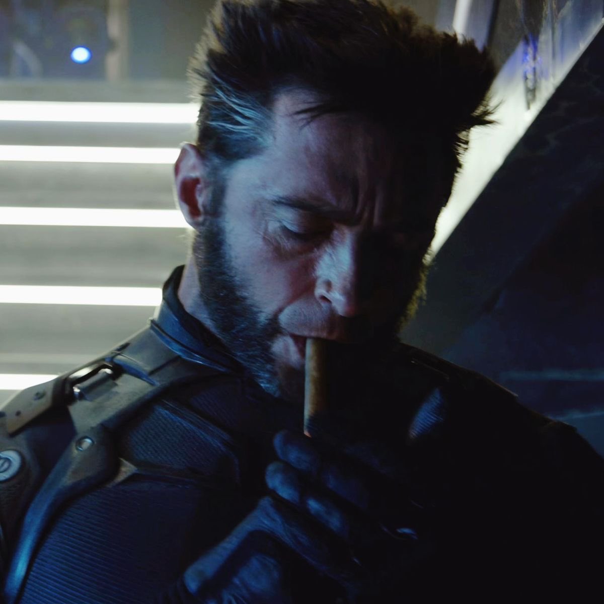 that silver streak in his kitty cat hair makes me go insane