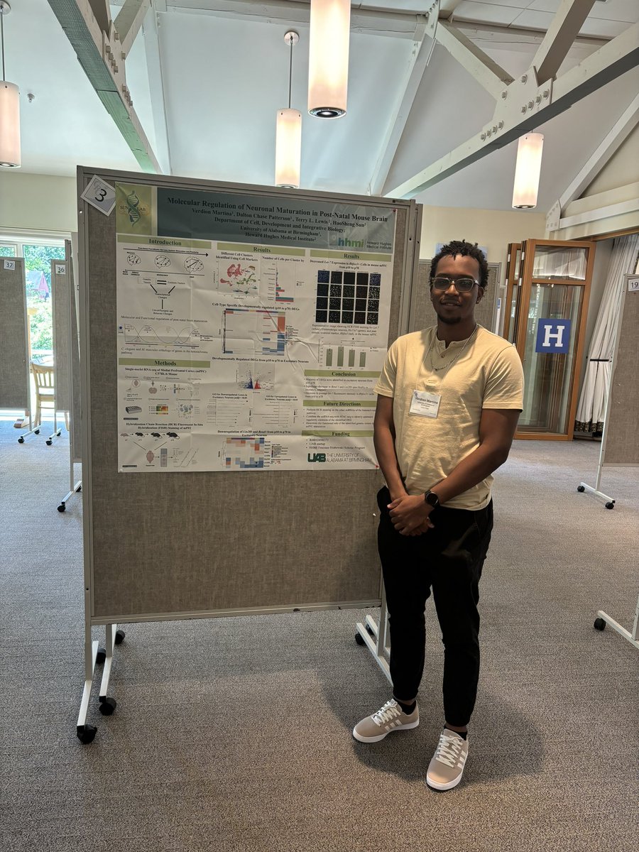 Verdion Martina🇨🇼 tweet media