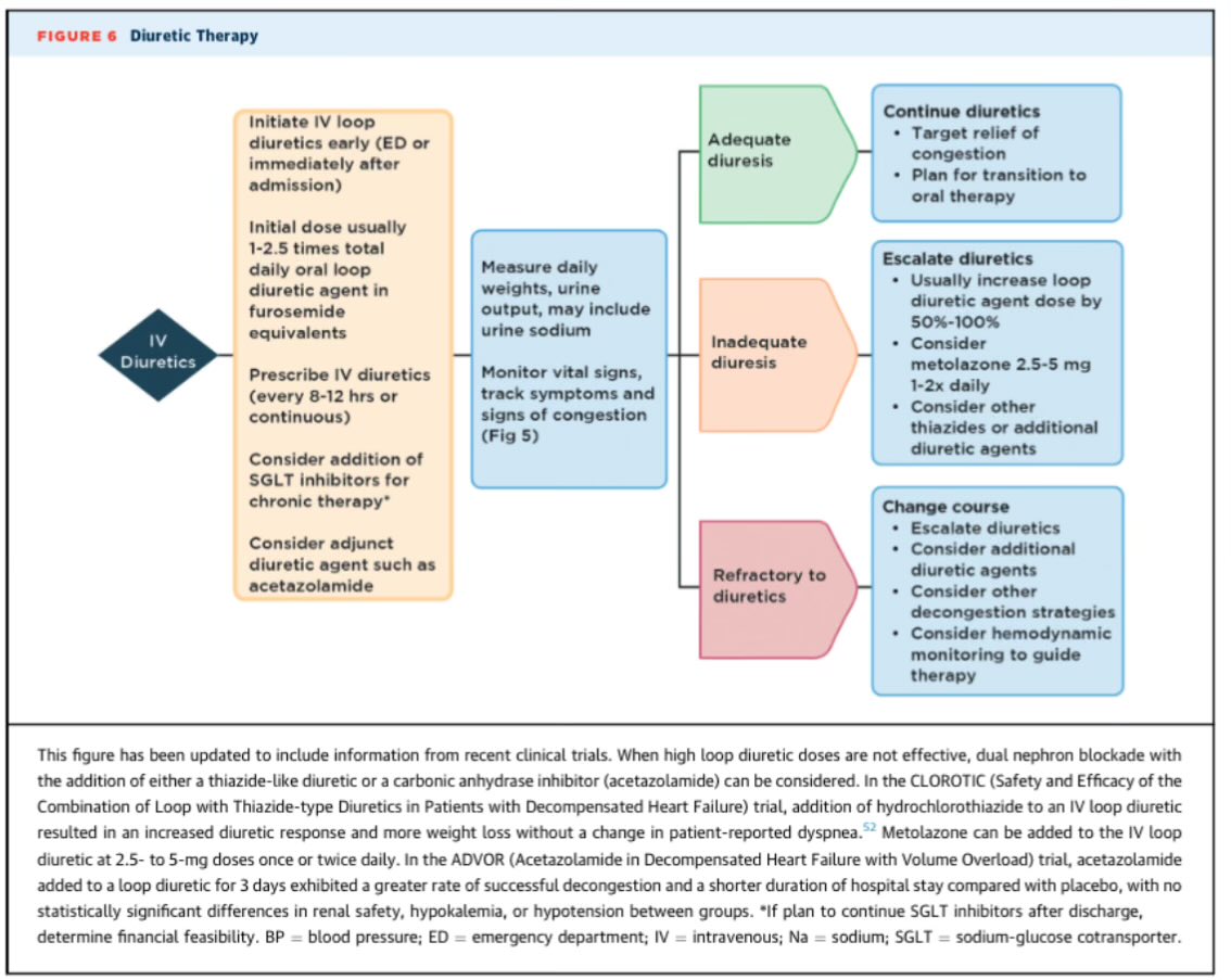 SeguraCardio's tweet photo. ⚠️2024 #ACC Expert Consensus Decision Pathway on Clinical Assessment, Management, &amp; Trajectory of 👥 Hospitalized w/ #HeartFailure Focused Update

Make sure to share &amp; bookmark ⬇️
#PositionPaper #HF https://t.co/ktTKGRNWH9
