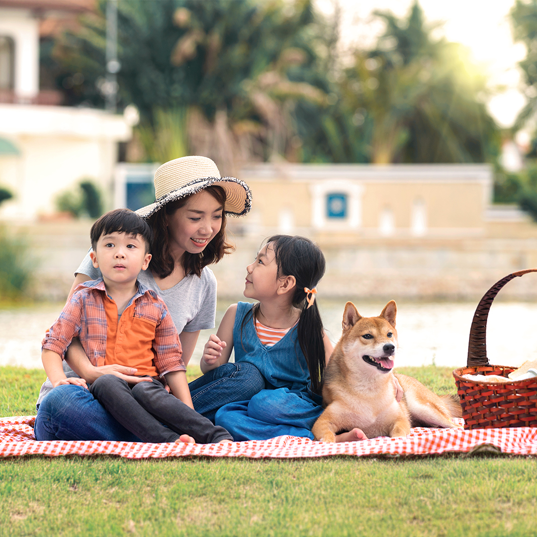 nylabone's tweet image. Make any un-fur-gettable memories with the fam this summer? Share a photo and tag @Nylabone! #FamilyFunMonth

#Nylabone #dogphoto #furryfamily