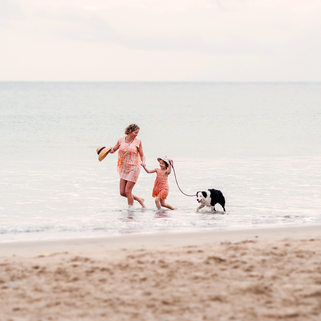 nylabone's tweet image. Make any un-fur-gettable memories with the fam this summer? Share a photo and tag @Nylabone! #FamilyFunMonth

#Nylabone #dogphoto #furryfamily