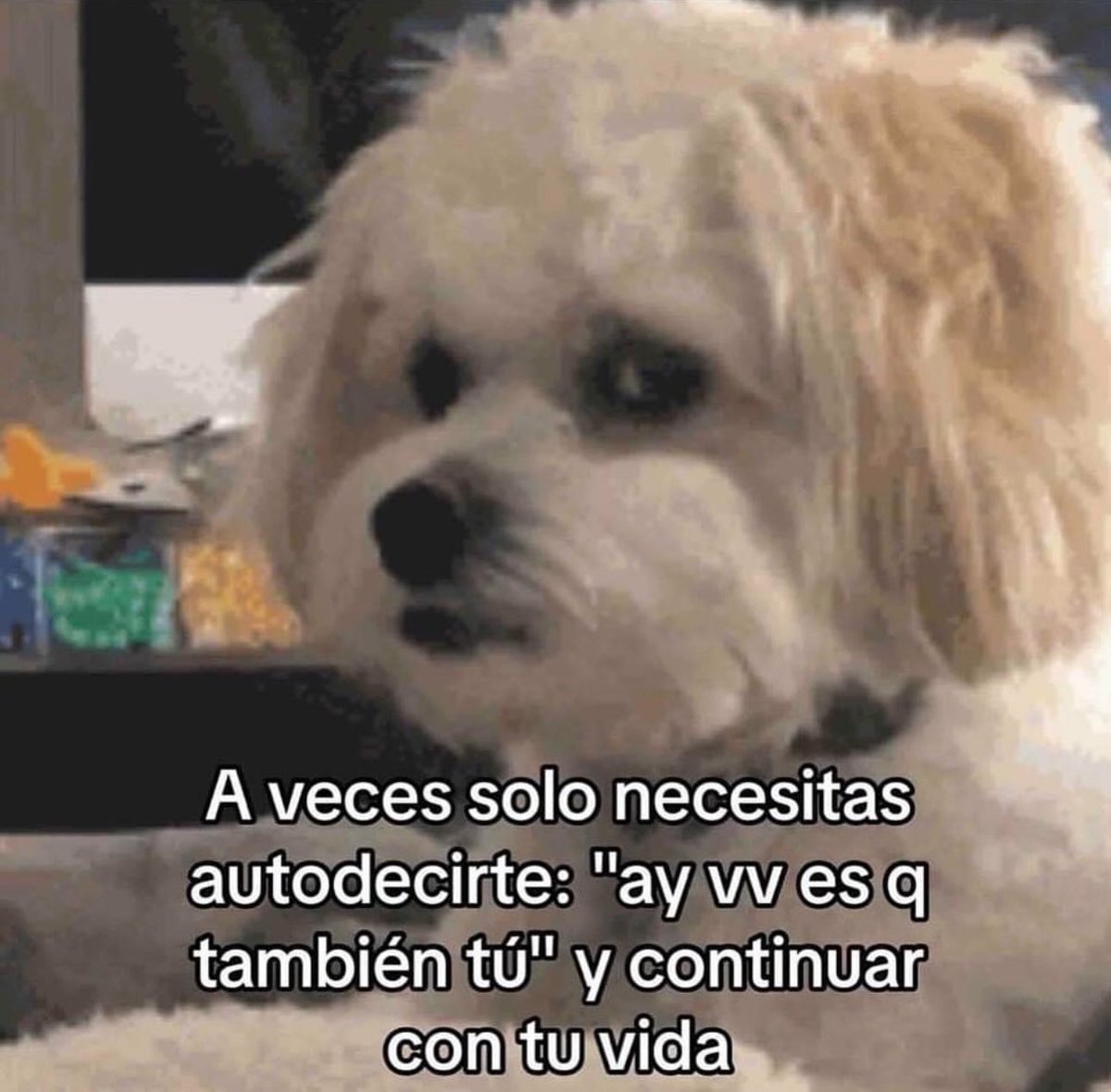 soyMargarlto's tweet photo. Siii jajaja https://t.co/z59US2pjzj