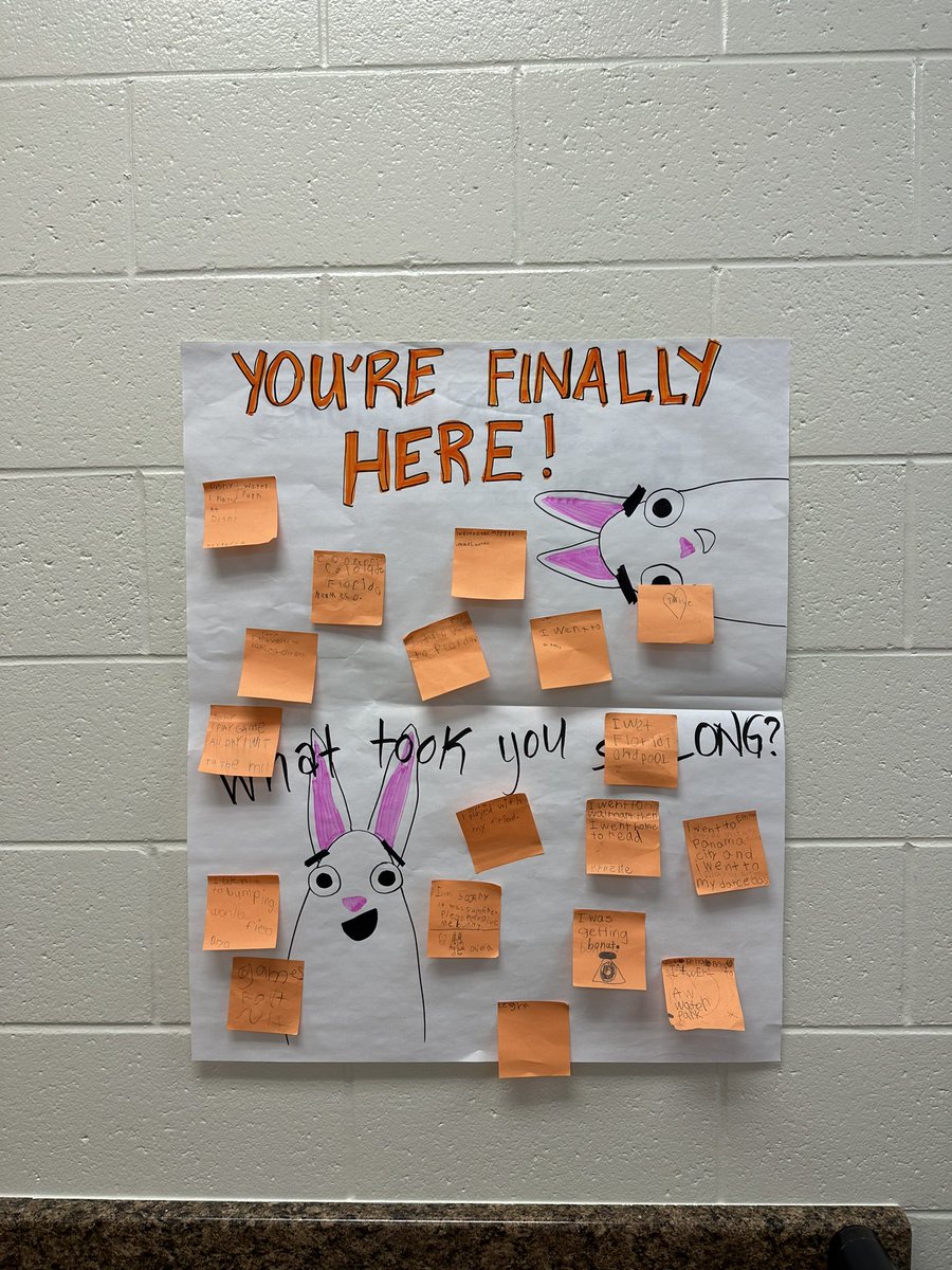 Chloe Ann tweet media