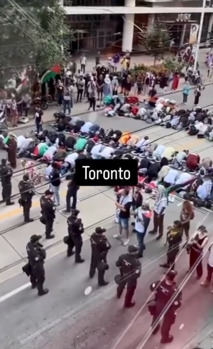 The Pleb 🌍 Reporter tweet media