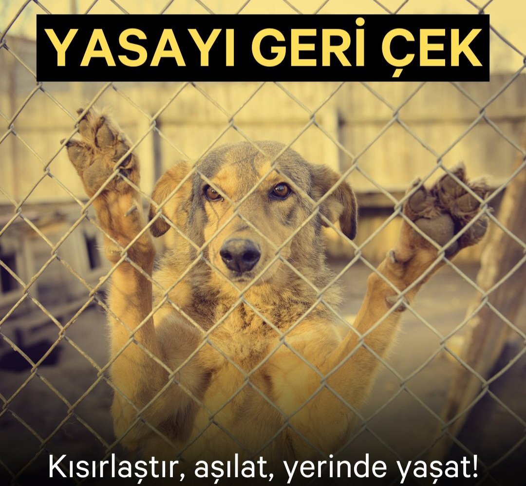 Katliamı durdur, yasayı geri çek. #yasayıgeriçek
