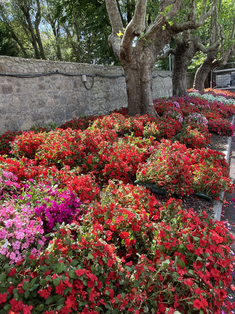 Richard Doyle tweet media