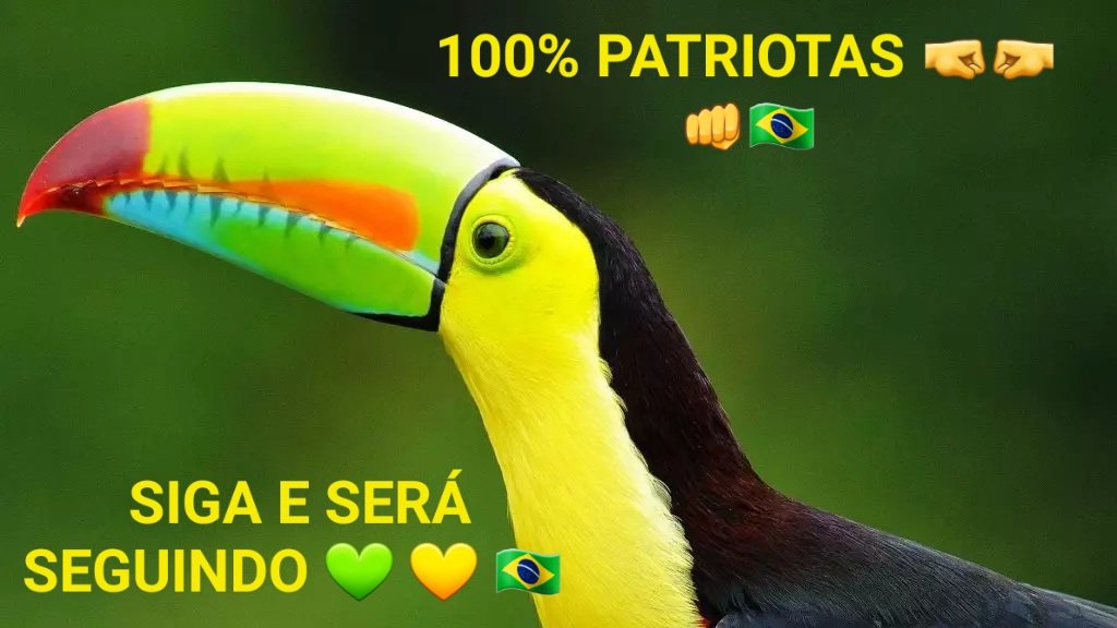 🏹#ARQUEIROSPATRIOTAS🎯
╭1️⃣
<a href="/rodmanoel1944/">ManoelRodrigues</a>
<a href="/ALSBW01/">❀ᬁ𝑨𝒏𝒂𑜞᭄ᬁ 𝑩𝒂𝒏𝒌𝒆𝒓 🪄</a>
<a href="/mello65440/">🇧🇷Márcio Mello🇧🇷</a>
<a href="/FerResiliente1/">Fernanda Andretto</a>
<a href="/RoseKiki15/">Rose Kiki</a>
<a href="/luizfpiu/">Luizfpiu 🇧🇷🇧🇷🇧🇷🇺🇸🇦🇷🇮🇱</a>
<a href="/IreteSouza/">Irete de Souza</a>
@FusaroZila
<a href="/LamboiaA/">Lamboia Adv</a>
<a href="/paula_hana1982/">𝑷𝒂𝒖𝒍𝒂 𝑯𝒂𝒏𝒂</a>
<a href="/Coronel_Mills/">Mills 🇧🇷</a>
<a href="/LaFenix61/">La Fênix</a>
<a href="/MatiasMatinhos0/">Matias Augusto</a>
<a href="/CarlosALima22/">Carlos Lima</a>
<a href="/MonteiroDjair/">Djair Monteiro</a>
<a href="/regianeepseg/">꧁•༆ ᴀᴛᴇɴᴀ ᴅᴀ ɢᴜᴇʀʀᴀ</a>
<a href="/anypgpr/">Any 🇧🇷🇧🇷🇧🇷</a>
<a href="/solmanzonubile/">Solange Manzo Nubile💚💛💙🤍</a>
<a href="/silveira50/">LENA BASSANI</a>