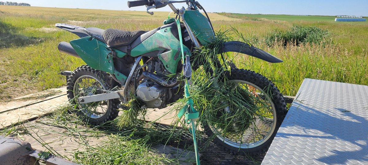 Everyone’s been asking about the dirt bike with canola wrapped around it, so here’s the proof! 🌾🏍️ #FarmLife #ScoutingLife