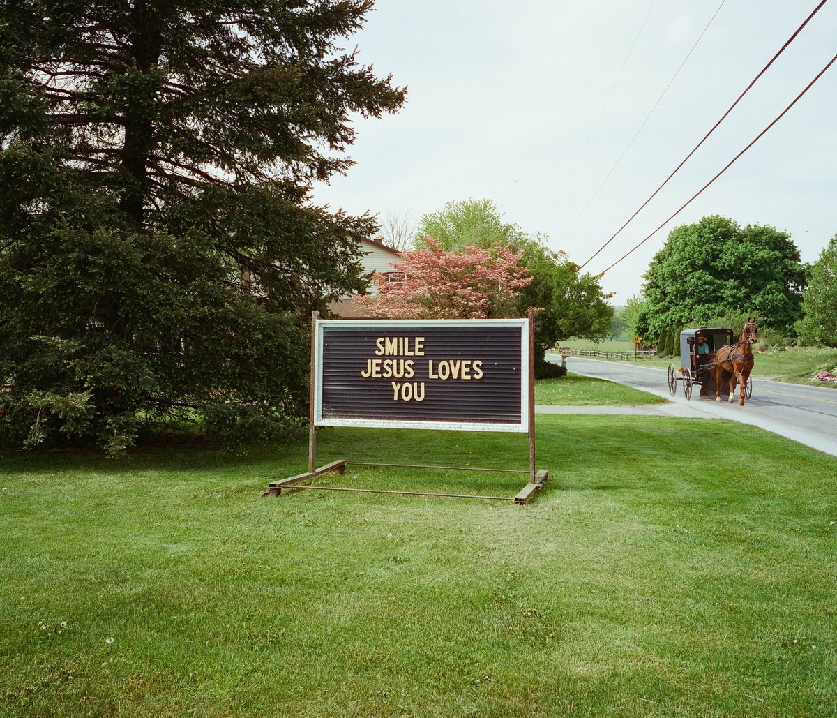 Lurkerlife's tweet photo. slow summer days in southeastern Pennsylvania https://t.co/1oJL2p5kFK