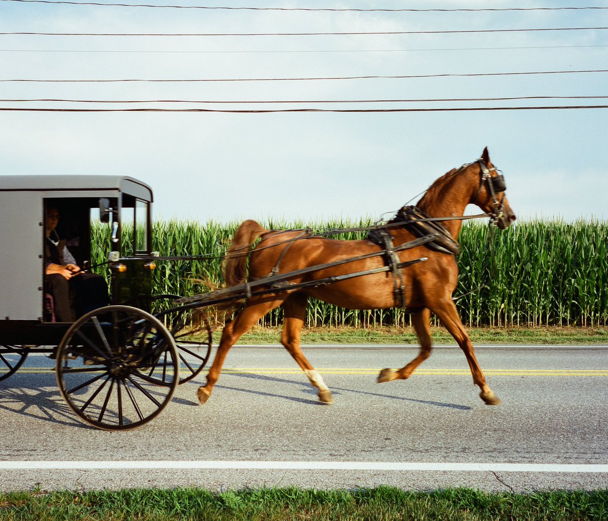 Lurkerlife's tweet photo. slow summer days in southeastern Pennsylvania https://t.co/1oJL2p5kFK