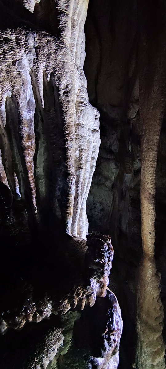 CapSkinRocket's tweet image. В окрестностях Мензоберанзана