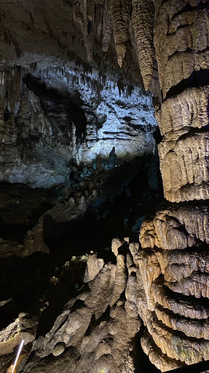 CapSkinRocket's tweet image. В окрестностях Мензоберанзана